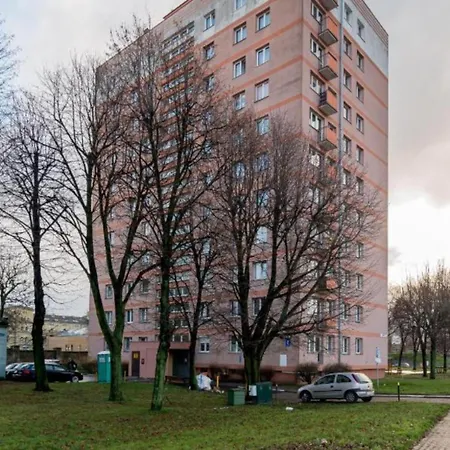 Forest In The - * Gdańsk