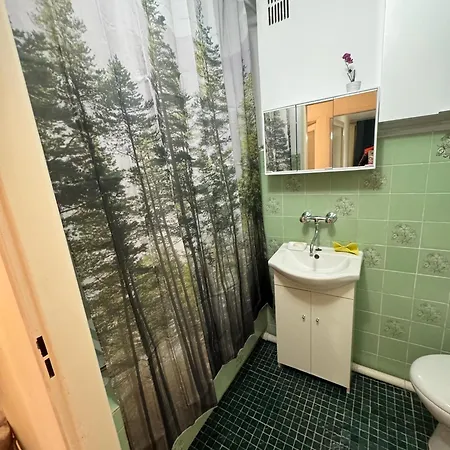 Forest In The -